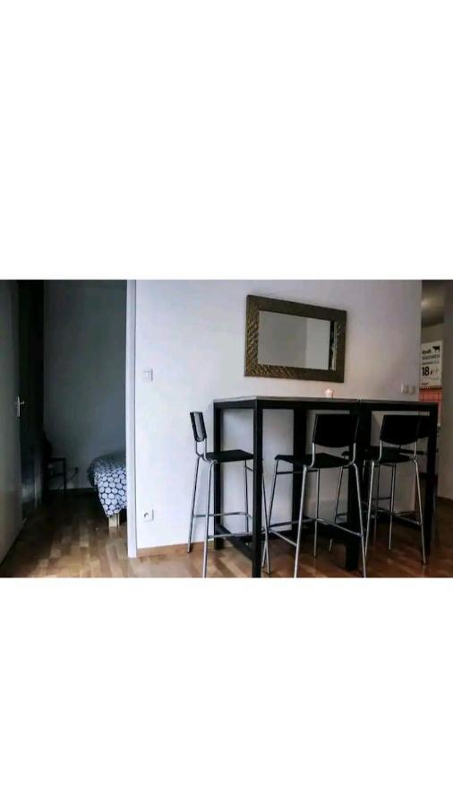 Bel Appartement Proche Du Canal Du Midi تولوز المظهر الخارجي الصورة